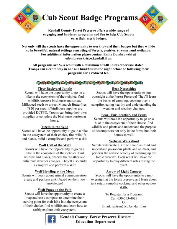 Boy Scout Badge Offerings