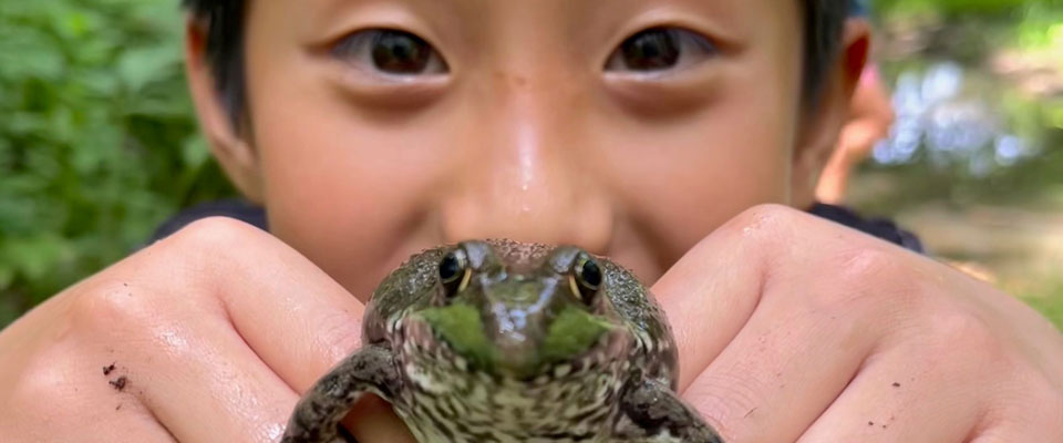Boy holding up frog