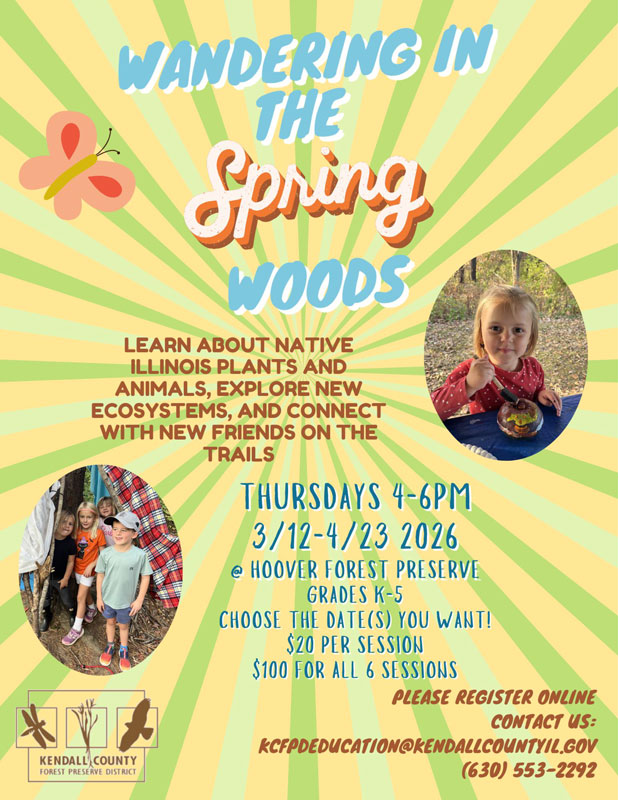 Afternoon Adventures