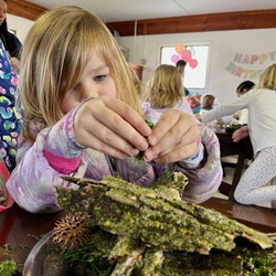 Fairy garden party