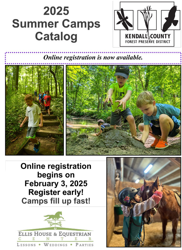 Summer Camps catalog